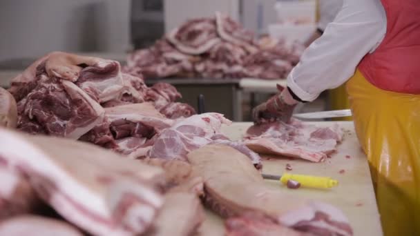 Kött bearbetning på en kött factrory. Livsmedelsindustrin. Färsk rå Fläskkotletter i kött fabriken. — Stockvideo