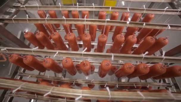 Lebensmittellager. Arbeiter legt Wurst in Lager einer Lebensmittelfabrik auf ein Gestell. — Stockvideo