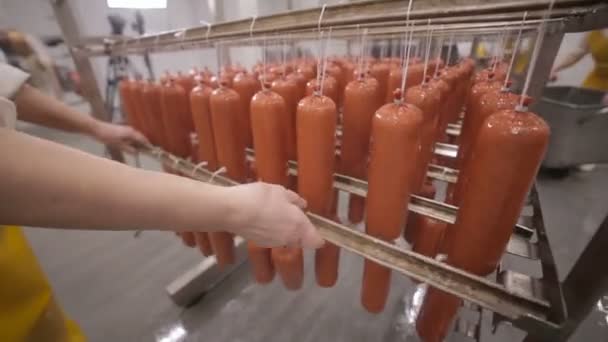 Almacén de alimentos. Trabajador poniendo salchichas en un estante en un almacén de una fábrica de alimentos . — Vídeo de stock