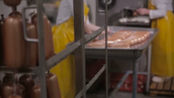 Производство колбас. Рабочий управляет мясоперерабатывающим оборудованием на мясокомбинате . — стоковое видео