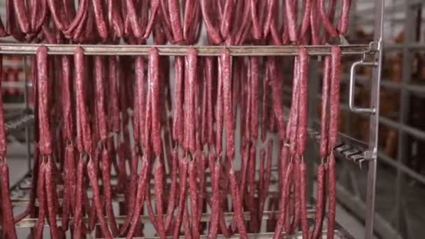 Stockage de nourriture, entrepôt. Produits de viande, saucisses suspendues sur des supports dans un entrepôt de viande, congélateur . — Video