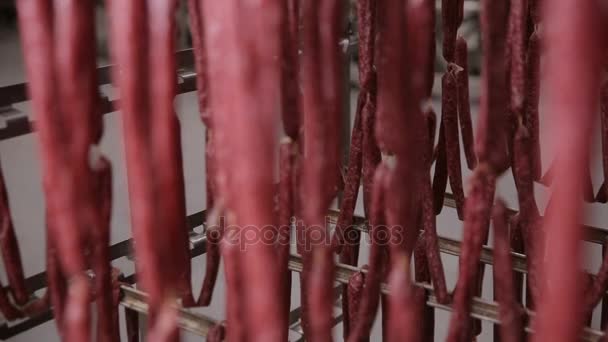 Food storage, warehouse. Meat products, sausages hanging on racks in a meat warehouse, freezer. — Stock Video