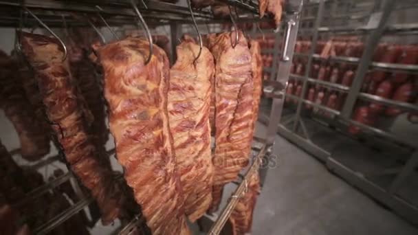 Armazenamento de comida, armazém. Produtos de carne, salsichas penduradas em prateleiras em um armazém de carne, congelador . — Vídeo de Stock