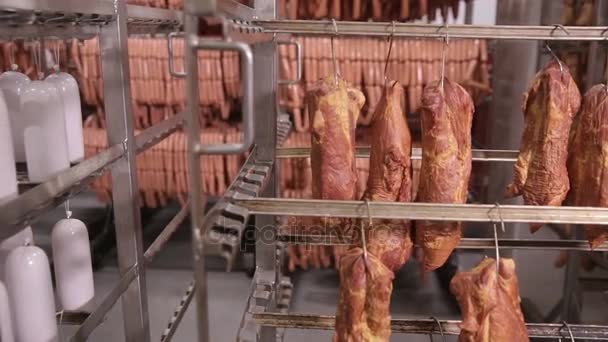 Voedsel opslag, magazijn. Vleesproducten, worstjes opknoping op rekken in een entrepot van het vlees, diepvries. — Stockvideo