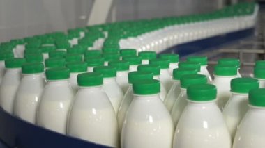 Plastik şişe konveyör üzerinde hareketli bir süt fabrikası'nda sütlü.