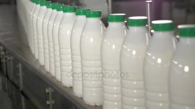 Plastik şişe konveyör üzerinde hareketli bir süt fabrikası'nda sütlü.