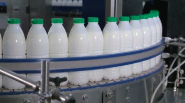 Plastik şişe konveyör üzerinde hareketli bir süt fabrikası'nda sütlü.