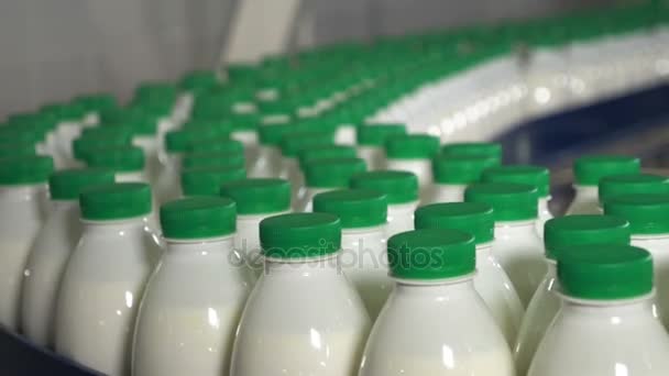 Lait en bouteilles se déplaçant sur convoyeur. Lait avec bouchons verts sur un tapis roulant dans une usine laitière . — Video