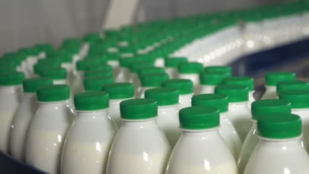 Πλαστικά μπουκάλια με γάλα σε μια γαλακτοβιομηχανία προχωρώντας ταινιοδρόμων. — Αρχείο Βίντεο
