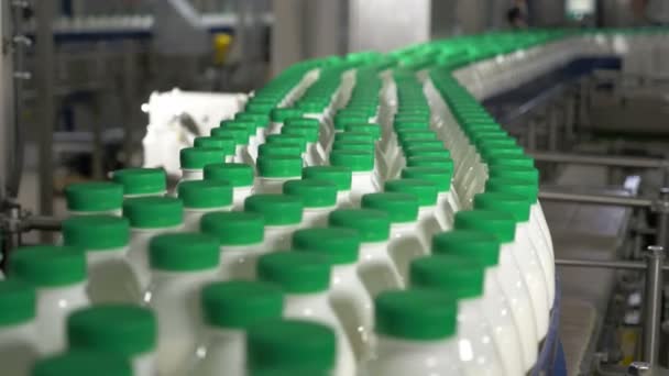 Plastic Bottles with milk at a dairy factory moving on conveyor. — Stock Video