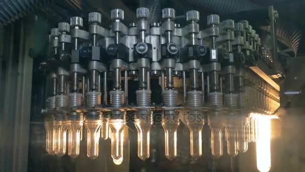 Plastik, Tierflaschen, die sich auf einem Band in einer Fabrik zur Herstellung von Plastikflaschen bewegen. — Stockvideo