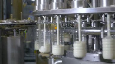 Plastik şişe süt ile doldurma. Süt ve süt ürünleri üretim hattı.