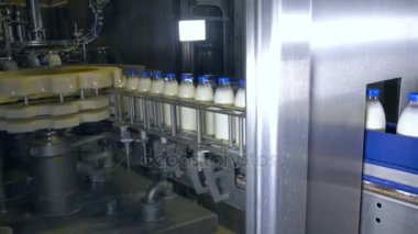 Taze süt ürünleri, şişe üzerinde bir konveyör taşıma. Süt ürünleri fabrikası.