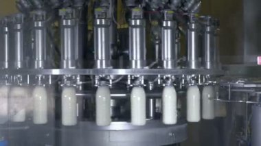 Plastik şişe süt ile doldurma. Süt ve süt ürünleri üretim hattı.