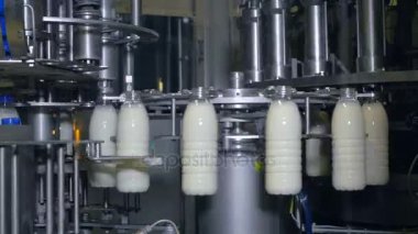 Süt fabrikası. Şişe süt üzerinde endüstriyel bir konveyör taşıma.