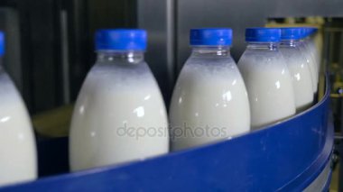 Süt fabrikası. Şişe süt üzerinde endüstriyel bir konveyör taşıma.