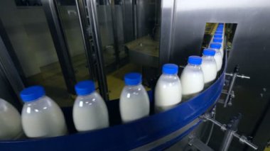 Süt fabrikası. Şişe süt üzerinde endüstriyel bir konveyör taşıma.