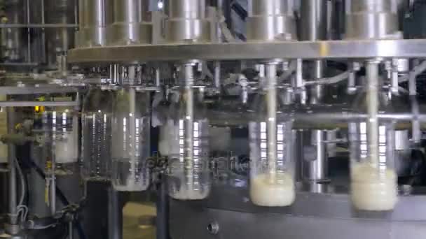 Leite derramado em garrafas em um equipamento industrial em uma fábrica de produção de leite . — Vídeo de Stock