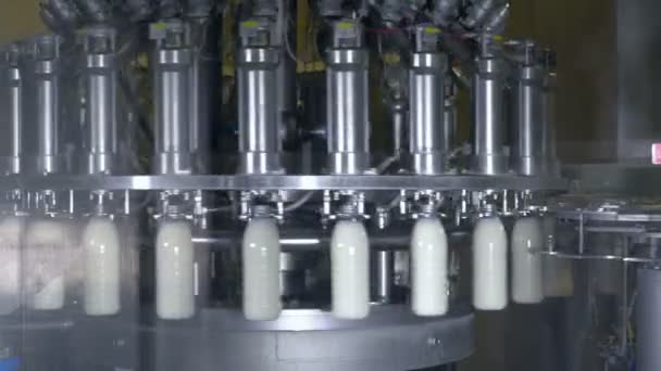 Bouteilles en plastique remplies de lait. Ligne de production de lait et de produits laitiers . — Video