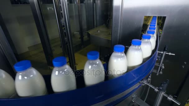 Fábrica de leche. Botellas de leche que se desplazan en un transportador industrial . — Vídeos de Stock