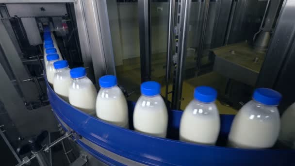 Φρέσκα γαλακτοκομικά προϊόντα, μπουκάλια που διακινούνται σε ένα μεταφορέα. Εργοστάσιο γάλακτος. — Αρχείο Βίντεο