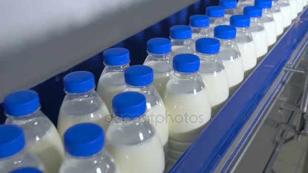 Молочний завод. Пляшки молока рухаються на промисловому конвеєрі . — стокове відео