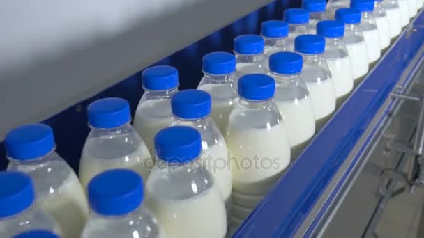 Fábrica de leche. Botellas de leche que se desplazan en un transportador industrial . — Vídeos de Stock