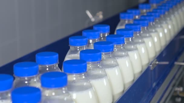 Φρέσκα γαλακτοκομικά προϊόντα, μπουκάλια που διακινούνται σε ένα μεταφορέα. Εργοστάσιο γάλακτος. — Αρχείο Βίντεο