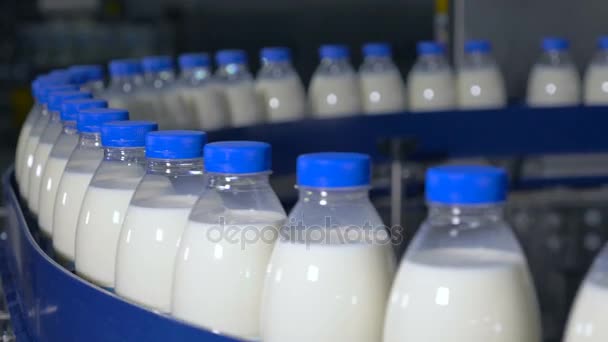 Verse zuivelproducten, flessen bewegen op een transportband. Melk producten plant. — Stockvideo