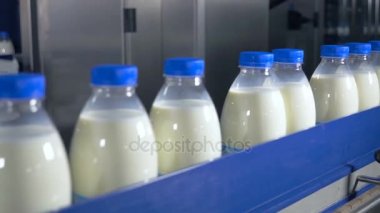 Taze süt ürünleri, şişe üzerinde bir konveyör taşıma. Süt ürünleri fabrikası.