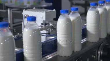 Birçok şişe süt süt üretim tesislerinde bir Konveyör bant.