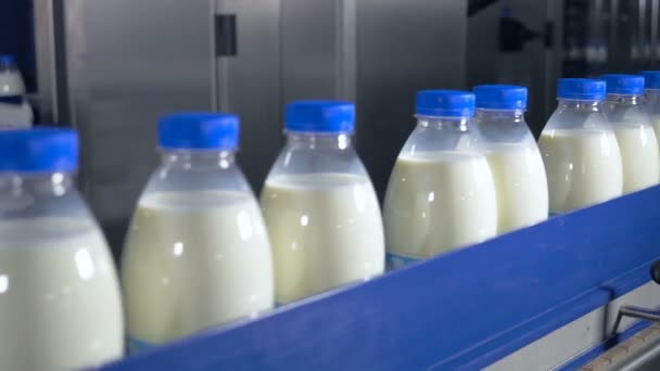 Taze süt ürünleri, şişe üzerinde bir konveyör taşıma. Süt ürünleri fabrikası. — Stok video