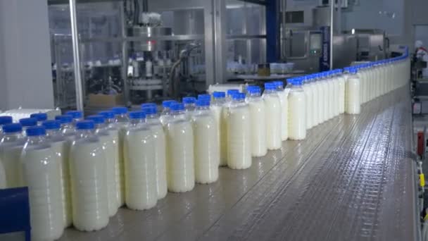 牛乳生産工場でベルトコンベアにミルクの多くのボトル. — ストック動画