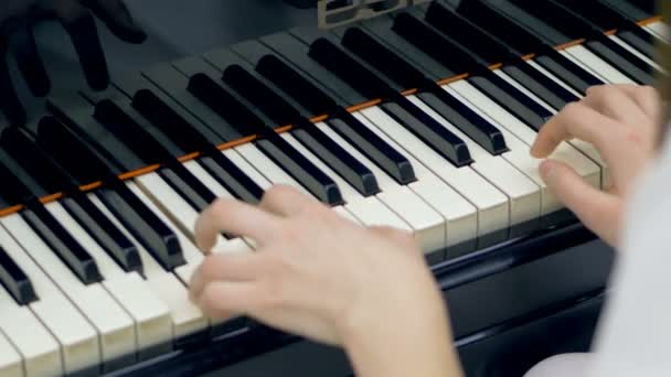 Woman musician hands playing a grand piano. — Stock Video