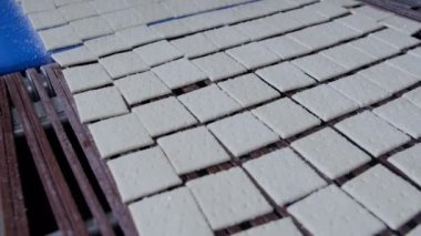 Gıda sanayi. Tanımlama bilgilerini konveyör.