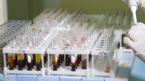 Close up. Doctor, scientist working with blood samples in laboratory. — Stock Video