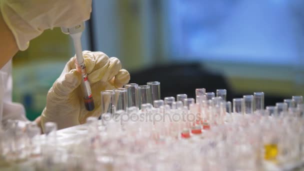 De wetenschapper werken met bloedmonsters in laboratorium. Close-up. — Stockvideo