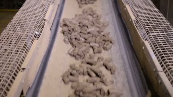 Conveyor for crushing stone. Soil separation. — Stock Video