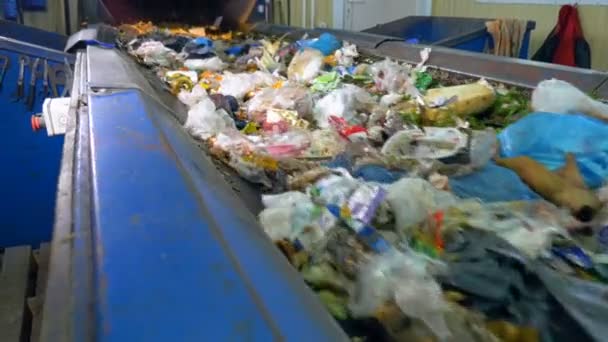 Bande transporteuse de tri dans une usine de recyclage . — Video