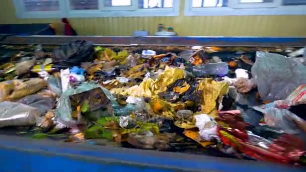 Σκουπίδια, σκουπίδια, σκουπίδια μεταφορέα σε ένα εργοστάσιο ανακύκλωσης. — Αρχείο Βίντεο