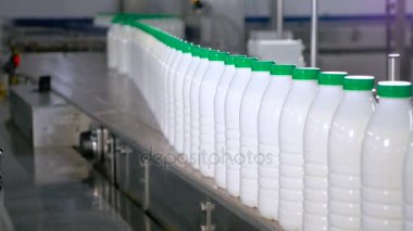Şişe süt fabrikası'nda bir konveyör taşıma ile lots.