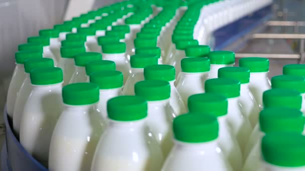 Многие пластиковые бутылки с молочной продукцией движутся по заводскому конвейеру . — стоковое видео