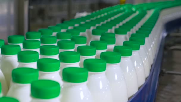 Muchos biberones con leche moviéndose en un transportador en fábrica . — Vídeos de Stock