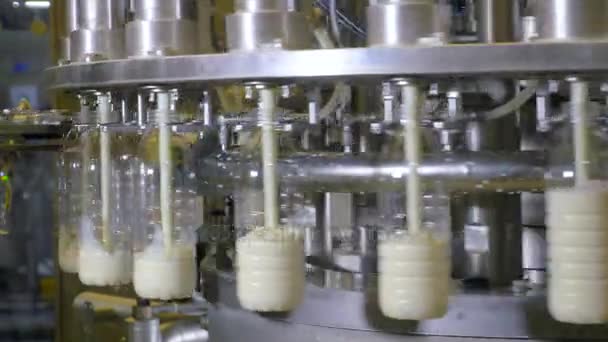 Lait versé dans des bouteilles en plastique dans une usine alimentaire. Gros plan . — Video