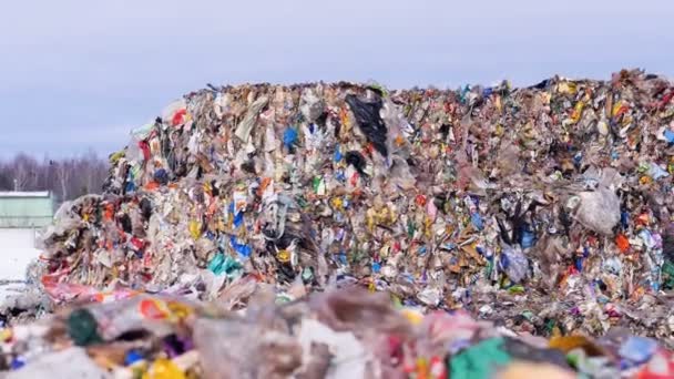 Veel plastic, afgedankte vuilnis op landfillsite. Stedelijk afval dump. — Stockvideo