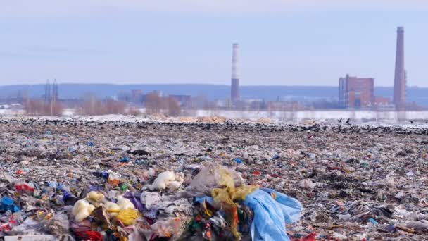 Una sartén de grandes montones de basura. Plástico, polietileno en un basurero . — Vídeos de Stock