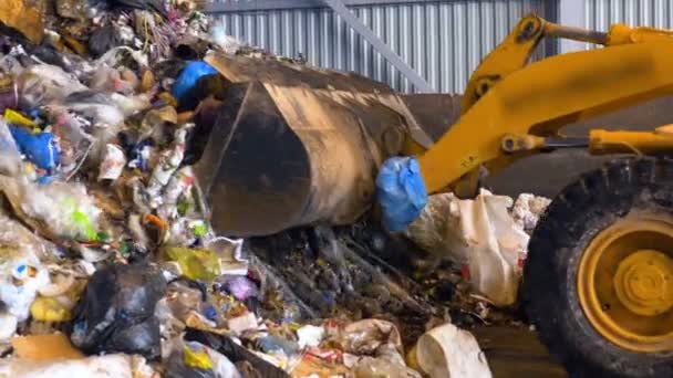 Carretilla elevadora, carretilla elevadora cargando una pila de basura en el vertedero . — Vídeos de Stock