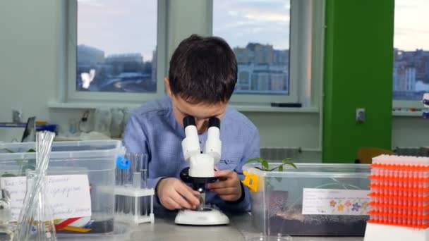 4K. Schoolboy studying science in biology, chemistry class using microscope. — Stock Video