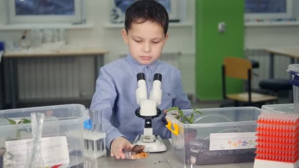 Giovane scienziato a scuola che fa un esperimento di biologia in laboratorio . — Video Stock