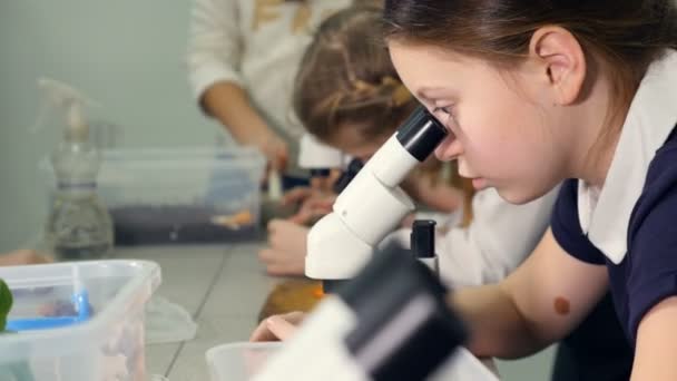 Γκρο πλαν. Τα παιδιά ψάχνουν σε μικροσκόπιο, επιφάνεια κατάσπαρτος βιολογία, Χημεία στο σχολικό εργαστήριο. Σχολή Επιστημών έννοια. — Αρχείο Βίντεο